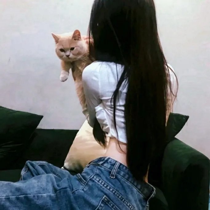 准妈妈四重奏